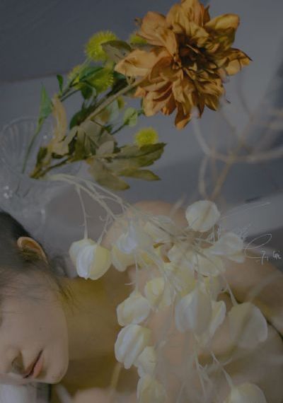 在线观看三级片免费观看_1080P电影在线看