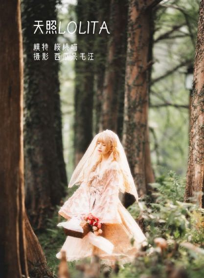 11一12免费毛片_在线观看免费版